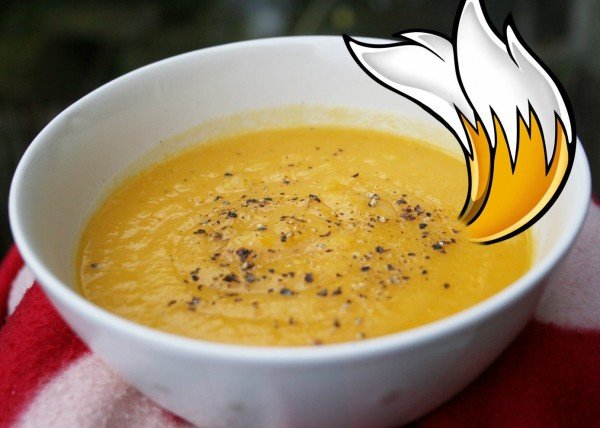 tails-the-fox-soup