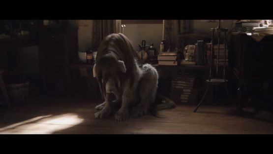 Fullmetal Alchemist Live Action Movie Gets English Subbed Trailer