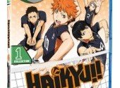  Haikyu!! Season One Part One Review (Anime)