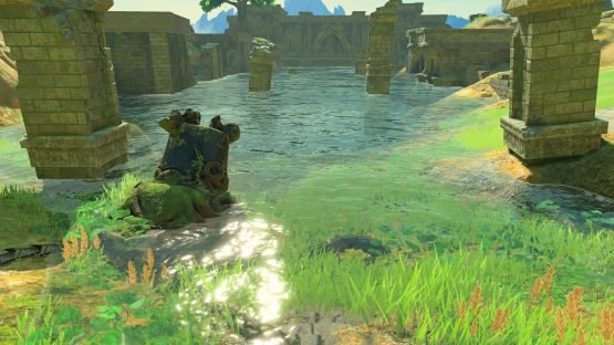 The Legend of Zelda: Breath of the Wild Preview (Switch) 4