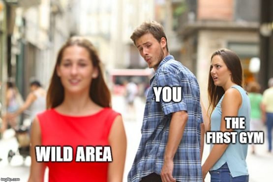 pokemon meme wild area