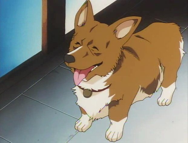 Our Top 4 Best Anime Pets - Rice Digital