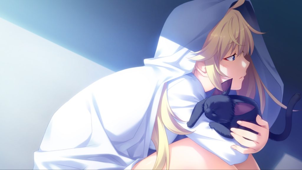 The Fruit of Grisaia: a visual novel with erotic content, or eroge.