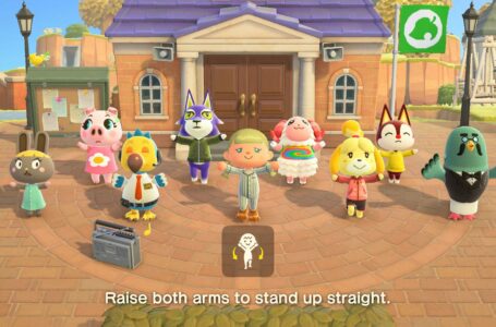 Animal Crossing New Horizons free update November 2022
