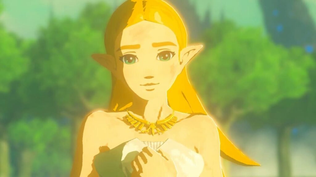 Princess Zelda from Breath of the Wild